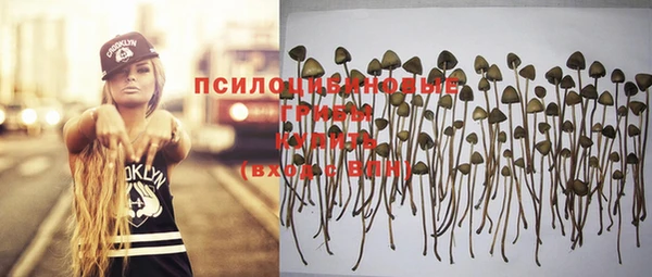 мяу мяу мука Алексеевка