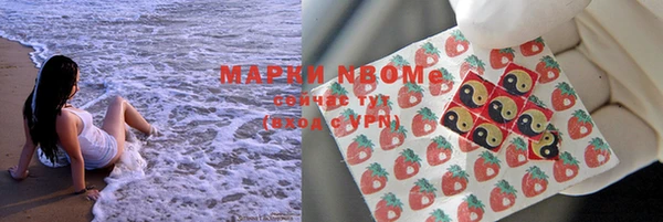 дмт Абаза