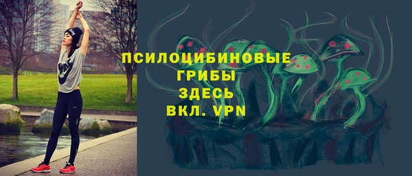 дмт Абаза