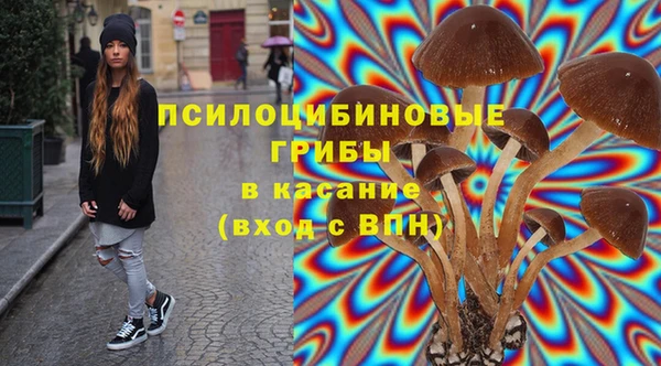 ГАЛЛЮЦИНОГЕННЫЕ ГРИБЫ Алзамай