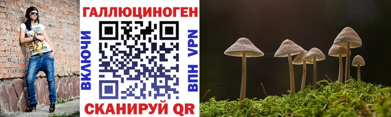 Галлюциногенные грибы ЛСД  ссылка на мегу онион  Курск  где можно купить  